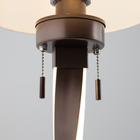 Настольная лампа Titan, 1x10Вт E27, цвет коричневый - Фото 3