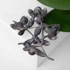 Брошь «Веточка» аметиста, фиолетовая в сером металле - Фото 3