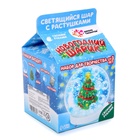 Набор для творчества «Новогодний шар с гидрогелем: ёлочка» - Фото 4