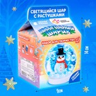 Набор для творчества «Новогодний шар с гидрогелем: снеговик» - фото 9240286