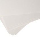 Бумага для акварели в папке А3, ЗХК "Сонет", 20 листов, 200 г/м2, среднезернистая, (80451624) - Фото 5
