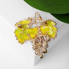 Брошь «Виноград» стеклянный, цветной в золоте - Фото 2