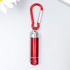 Фонарик брелок для ключей на карабине «Серебряный луч», 5.8×1.2×1.2 см - Фото 2