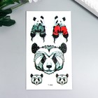 Татуировка на тело цветная "Панда-боксёр" 10,5х6 см - фото 319870450