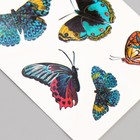 Татуировка на тело цветная "Бабочки" 10,5х6 см - фото 11755890