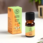 Эфирное масло «Цитрус и ваниль», 5 мл, «Богатство Аромата» - Фото 1