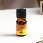 Эфирное масло «Апельсин-корица», 5 мл, «Богатство Аромата» - Фото 2