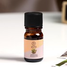 Эфирное масло «Шоколад-мандарин», 5 мл, «Богатство Аромата» - Фото 2