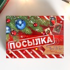 Новогодняя шкатулка-посылка "Ящик" 19х14см 5198899 - фото 17032736