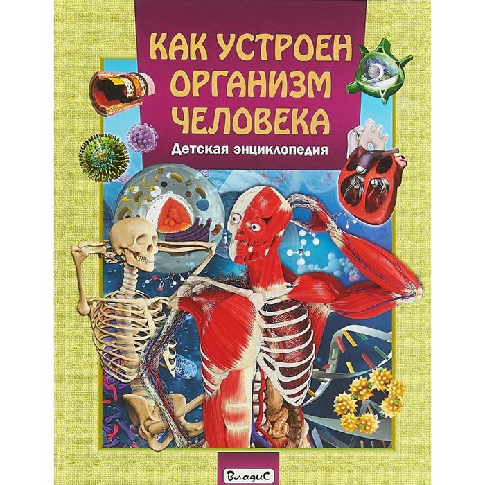 Как устроен организм человека. Детская энциклопедия - Фото 1