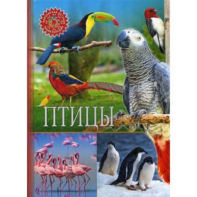 Птицы. Популярная детская энциклопедия
