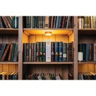 Сейф-книга "Сказки народов мира", 5,5х15,5х24 см, ключевой замок, - фото 24522148