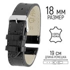 Ремешок для часов, мужской, 18 мм, запряжник 75 мм, горт 115 мм, натуральная кожа, чёрный - Фото 1