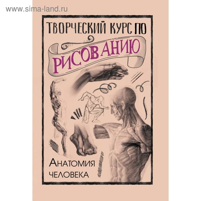 

Творческий курс по рисованию. Анатомия человека. Грей М.