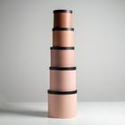 Набор шляпных коробок для цветов 5 в 1, упаковка подарочная, «Нежный нюд», 14 х 13 см - 22 х 19,5 см - фото 24606980