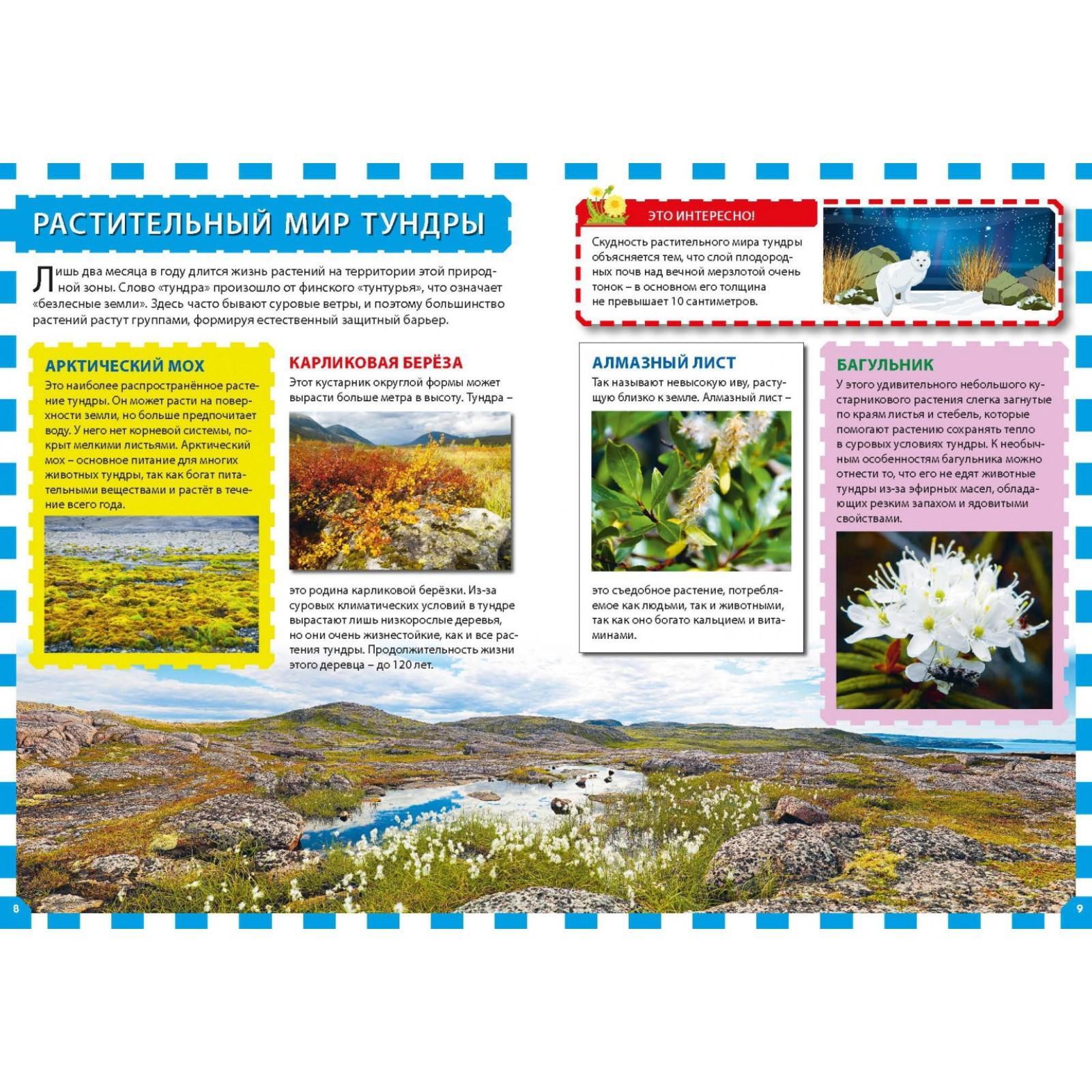 Растительный и животный мир умеренных поясов 5 класс летягин презентация