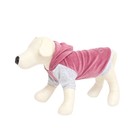 Толстовка с капюшоном Osso для собак, велюр, размер 28 (ДС 28, ОГ 36-38 см), розовая - фото 9066008