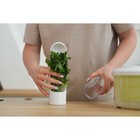 Контейнер пластиковый Fresh, для хранения зелени, 500 мл - Фото 9