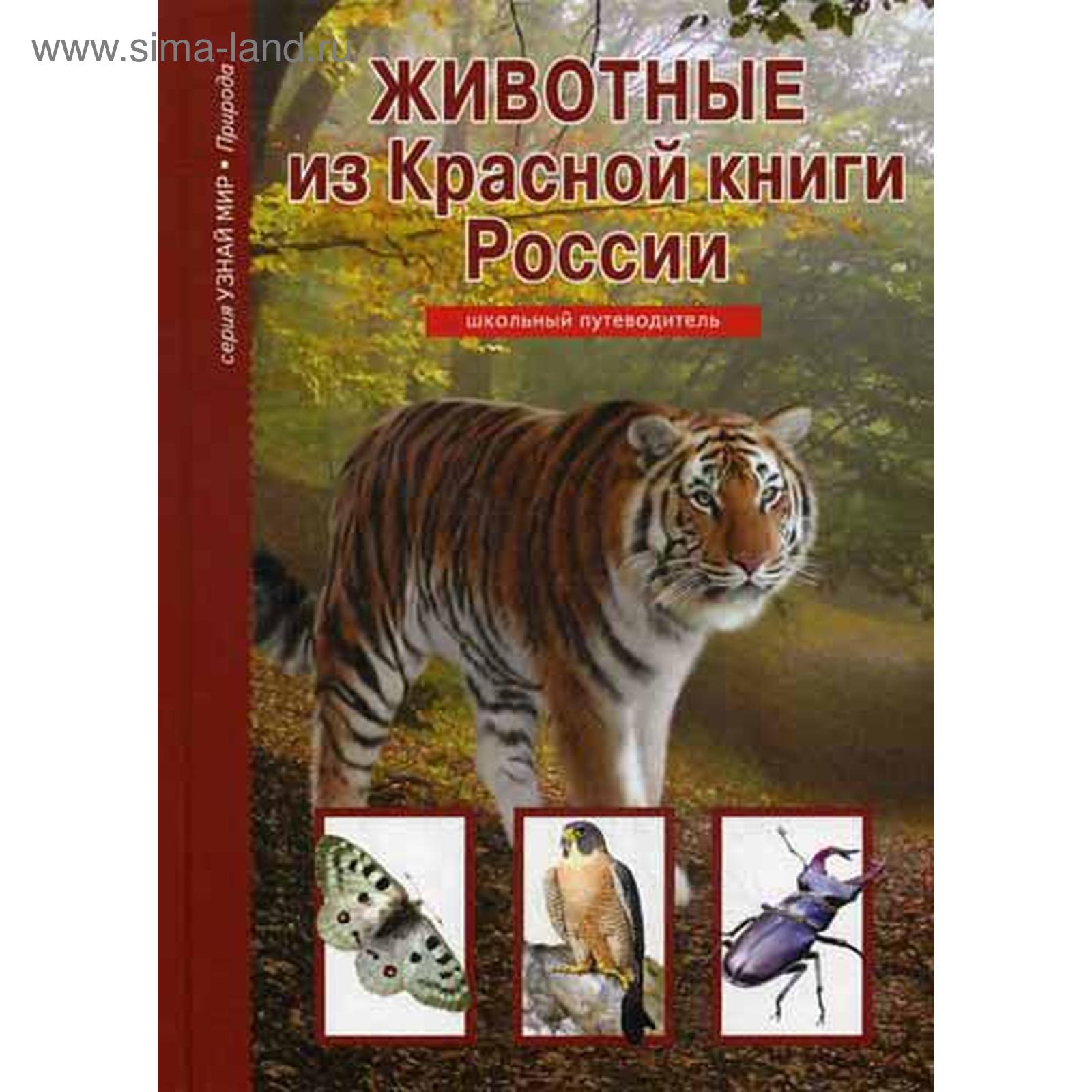 Редкие Животные Из Красной Книги Фото