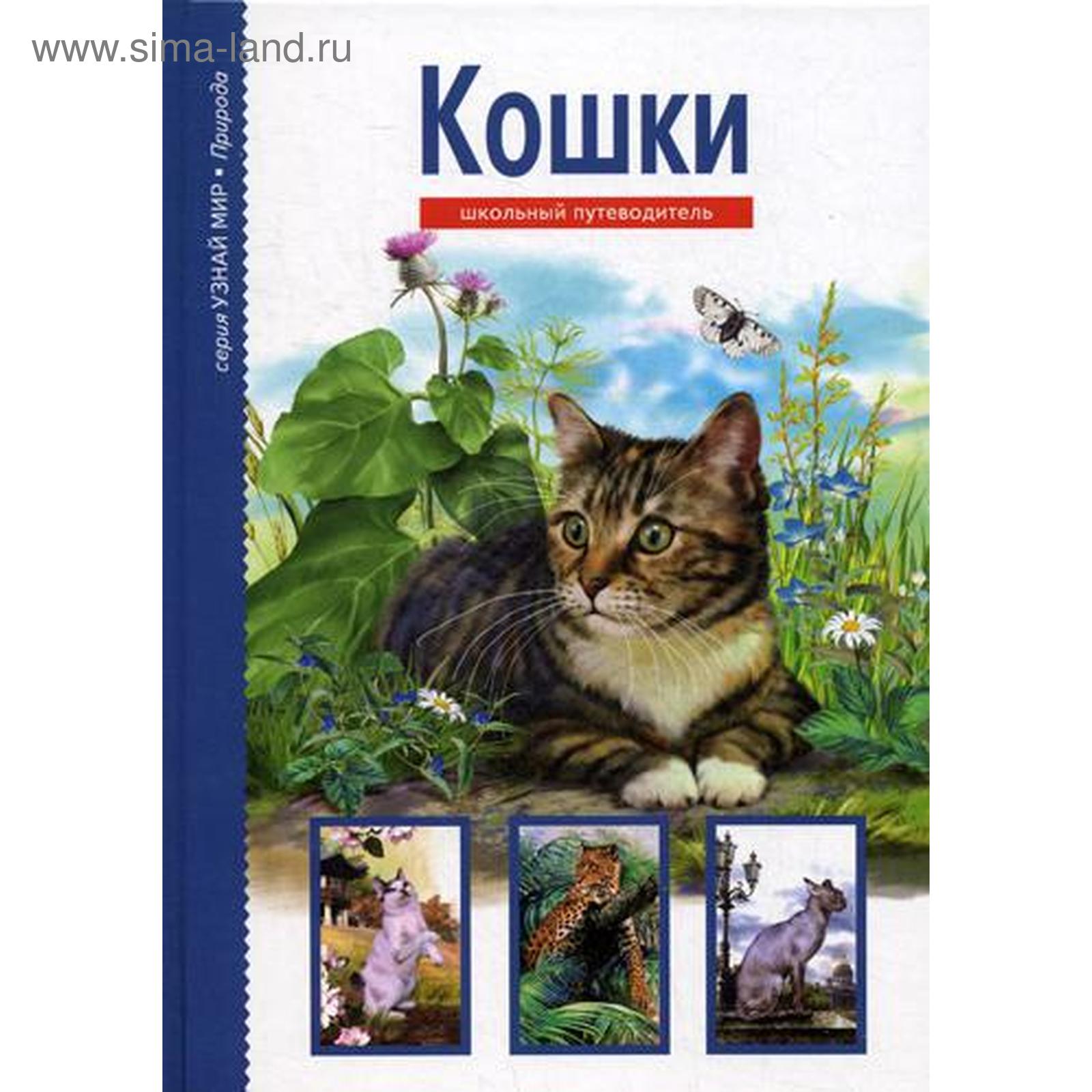 Абрамов нашел свою кошку. Кошки. Школьный путеводитель. Книги про кошек. Книги про кошек для детей.