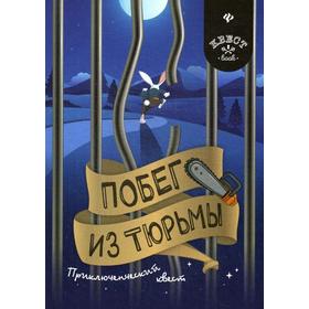 

Побег из тюрьмы: приключенческий квест. Малютин А.