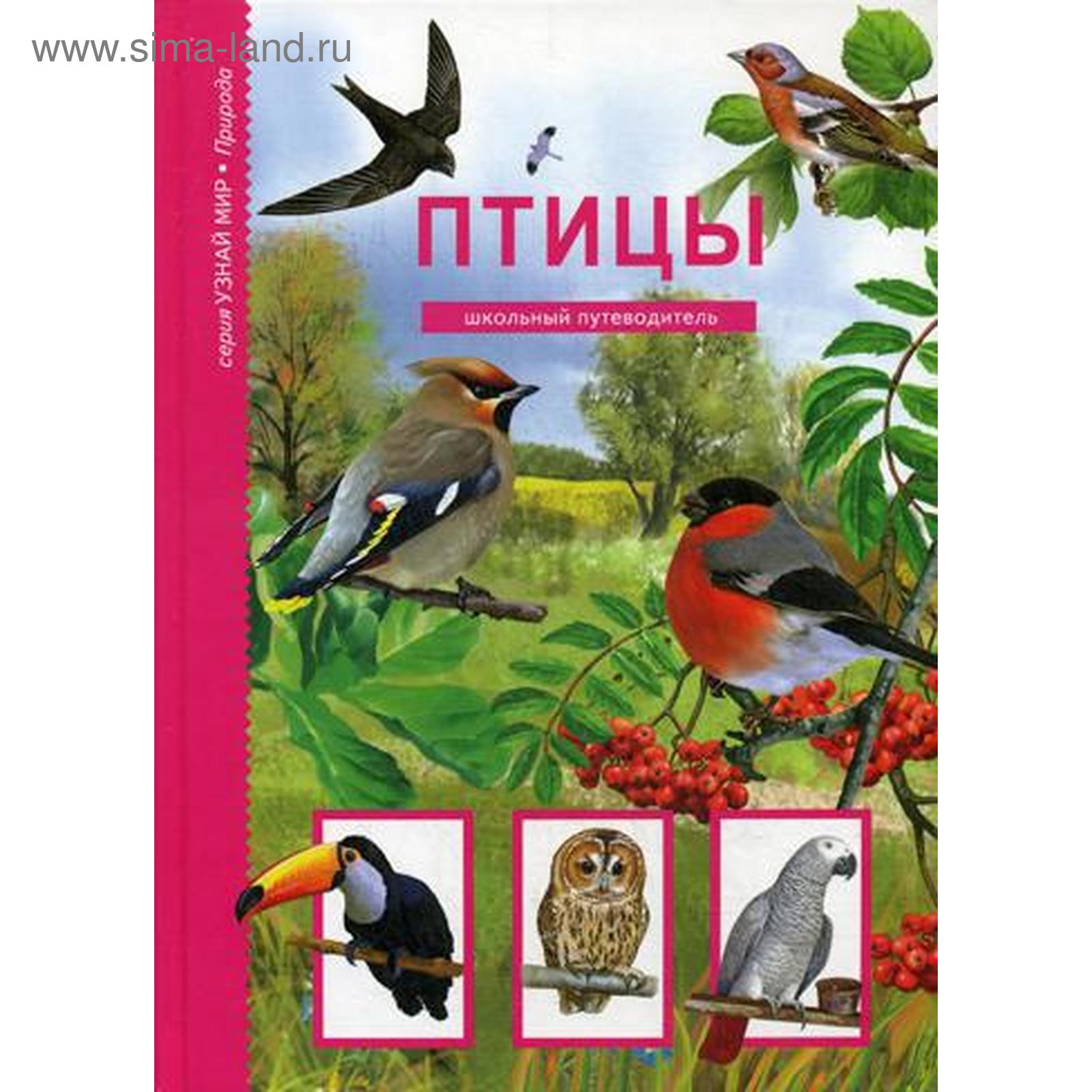 Птицы. Узнай мир. Дунаева Ю.А. (5327059) - Купить по цене от 327.00 руб. |  Интернет магазин SIMA-LAND.RU