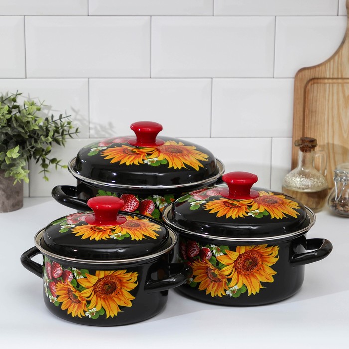 Набор эмалированных кастрюль «Даша-1», 3 предмета: 1,5 л, 2,3 л, 3 л, индукция - Фото 1