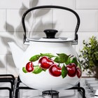 Чайник «Вишневый сад», 3.5 л, индукция, эмалированная сталь, белый - Фото 5