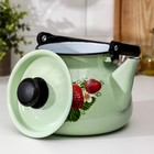 Чайник, 3 л, эмалированная сталь, рисунок МИКС, салатовый - Фото 2