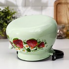 Чайник, 3 л, эмалированная сталь, рисунок МИКС, салатовый - Фото 4