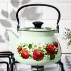 Чайник, 3 л, эмалированная сталь, рисунок МИКС, салатовый - Фото 5