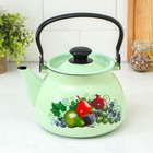 Чайник, 3 л, эмалированная сталь, рисунок МИКС, салатовый - Фото 6