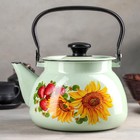 Чайник, 3 л, эмалированная сталь, рисунок МИКС, салатовый - Фото 8