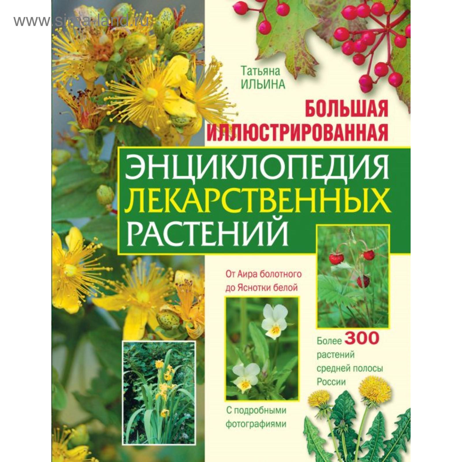 Большая иллюстрированная энциклопедия лекарственных растений. Ильина Т.А.  (5379148) - Купить по цене от 980.00 руб. | Интернет магазин SIMA-LAND.RU