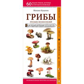 

Грибы русских лесов и полей. Куценко М.