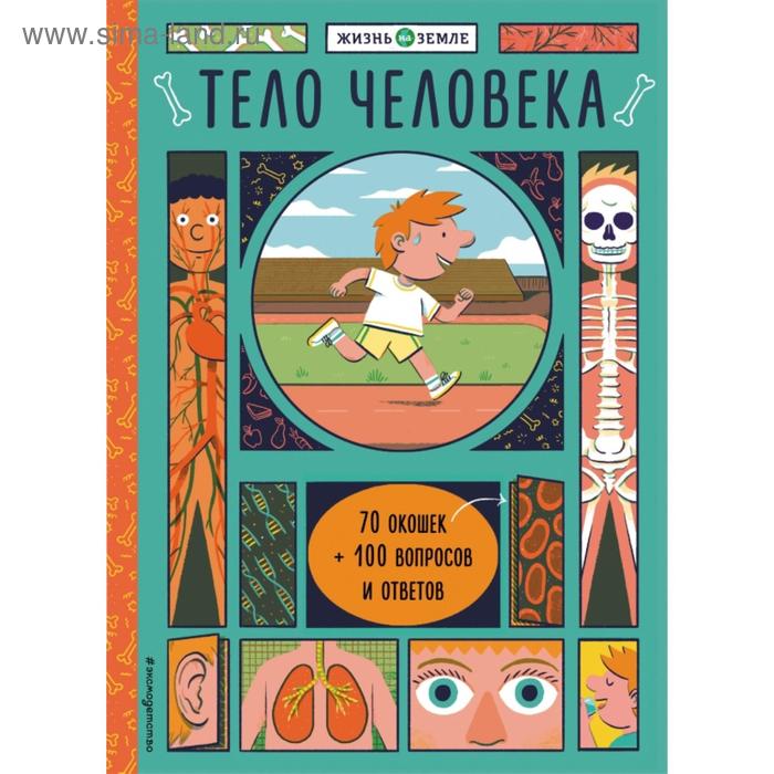 Тело человека с окошками Александер Х 870₽