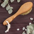 Щётка для сухого массажа, натуральная щетина, 79 пучков - Фото 2