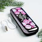 Зарядное устройство новогоднее «Мечты», 4500 mAh - Фото 3