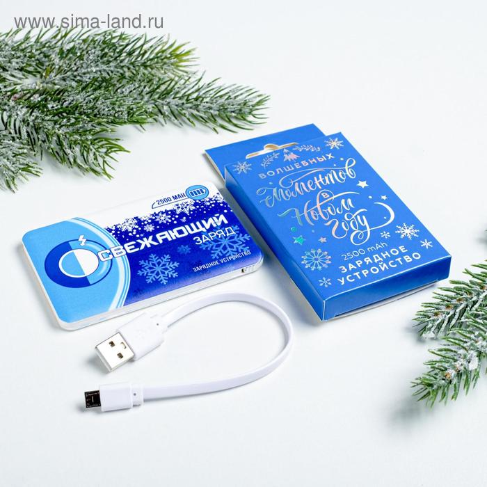 Зарядное устройство «Освежающий заряд», 2500 mAh - Фото 1