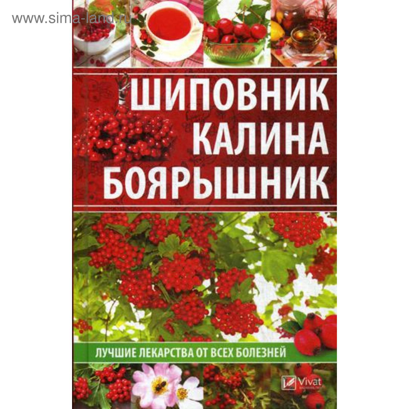 Шиповник, калина, боярышник. Лучшие лекарства от всех болезней. Сайдакова Р.