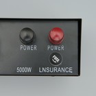 Контроллер для гирлянды «Белт-лайт» 5000 Вт, IP20, 8 режимов, 220 В - Фото 8