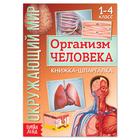 Книжка-шпаргалка «Окружающий мир. Организм человека», 12 стр. - Фото 1