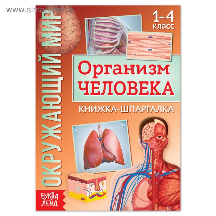 Книжка-шпаргалка «Окружающий мир. Организм человека», 12 стр. - Фото 1