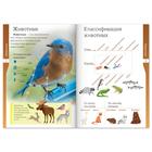 Книжка-шпаргалка «Окружающий мир. Животные», 16 стр. - Фото 2