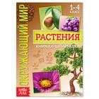 Книжка-шпаргалка «Окружающий мир. Растения», 12 стр. - Фото 1