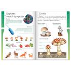 Книжка-шпаргалка «Окружающий мир. Живая и неживая природа», 12 стр. - Фото 2