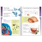 Книжки - шпаргалки «Мир природы и человека», набор 6 шт. - Фото 3