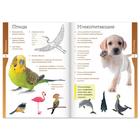 Книжки - шпаргалки «Мир природы и человека», набор 6 шт. - Фото 4