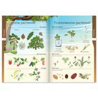 Книжки - шпаргалки «Мир природы и человека», набор 6 шт. - Фото 5