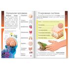 Книжки - шпаргалки «Мир природы и человека», набор 6 шт. - Фото 6